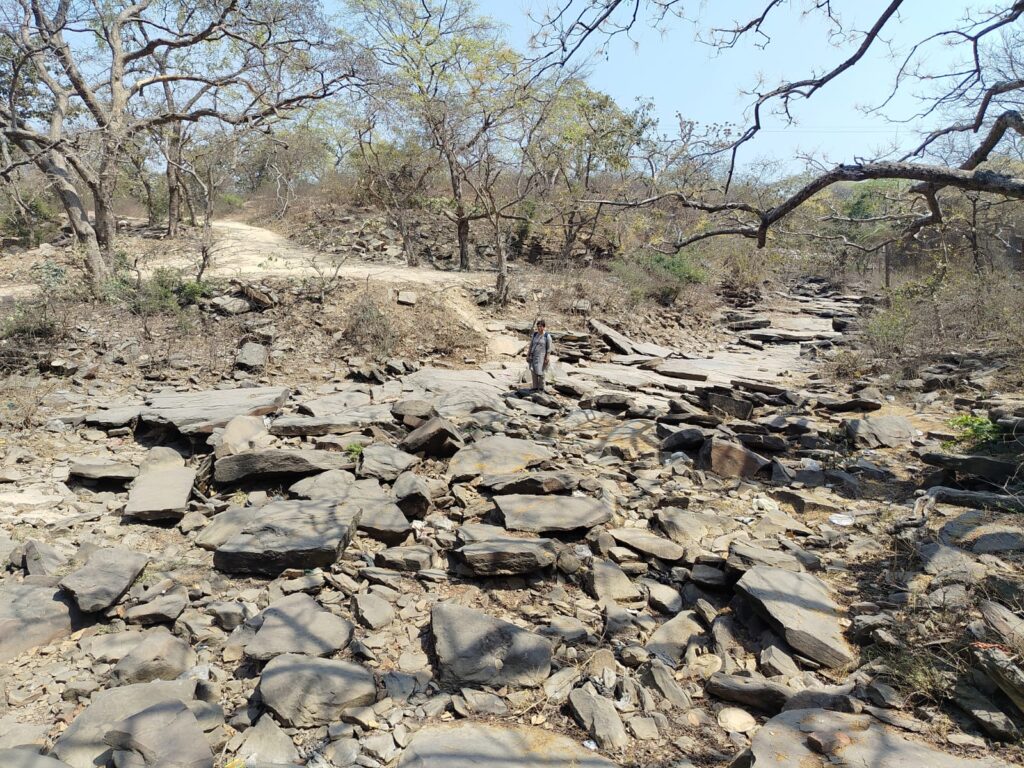 चुनार: वर्तमान के पीछे छिपा अतीत